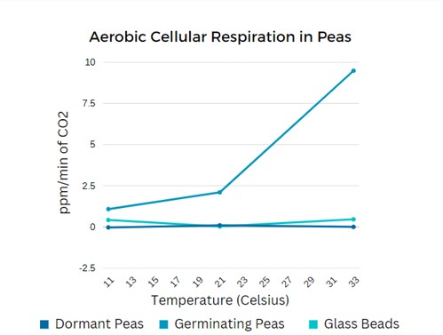 Aerobic Cellular Respiration in Peas
\( -2.5 \) Temperature (Celsius)
Dormant Peas \( \square \) Germinating Peas \( \square 