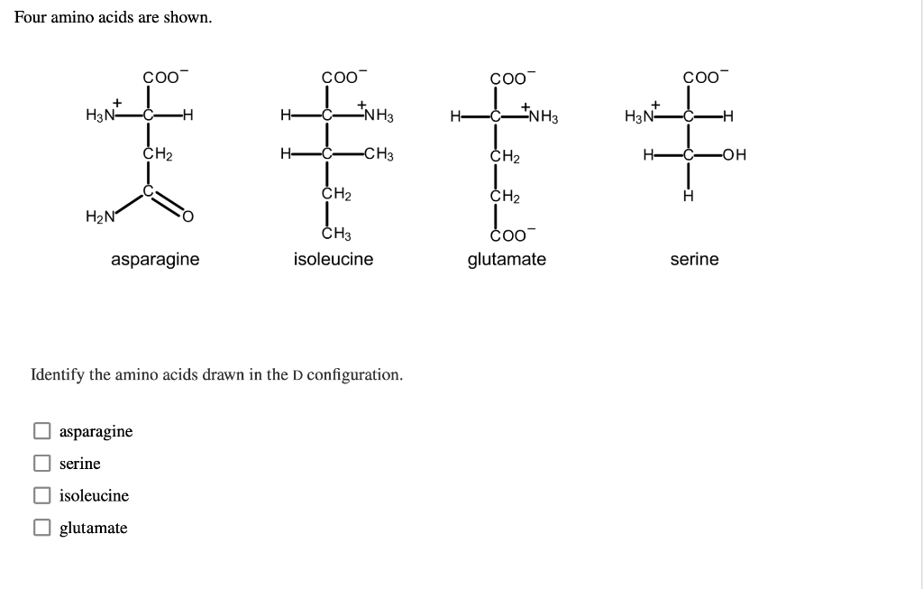 Solved Four amino acids are shown. COO™ COO COO H3N- NH3 -H | Chegg.com