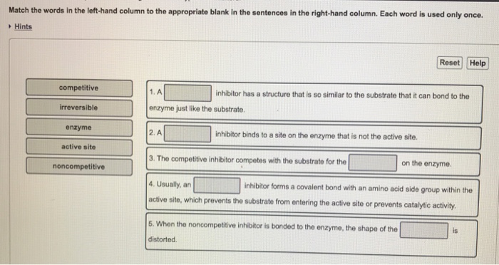 Solved Match the words in the left-hand column to the | Chegg.com