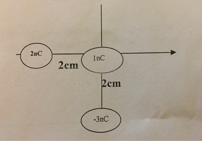 Solved: In The Below Diagram, Determine The Net Force On T... | Chegg.com