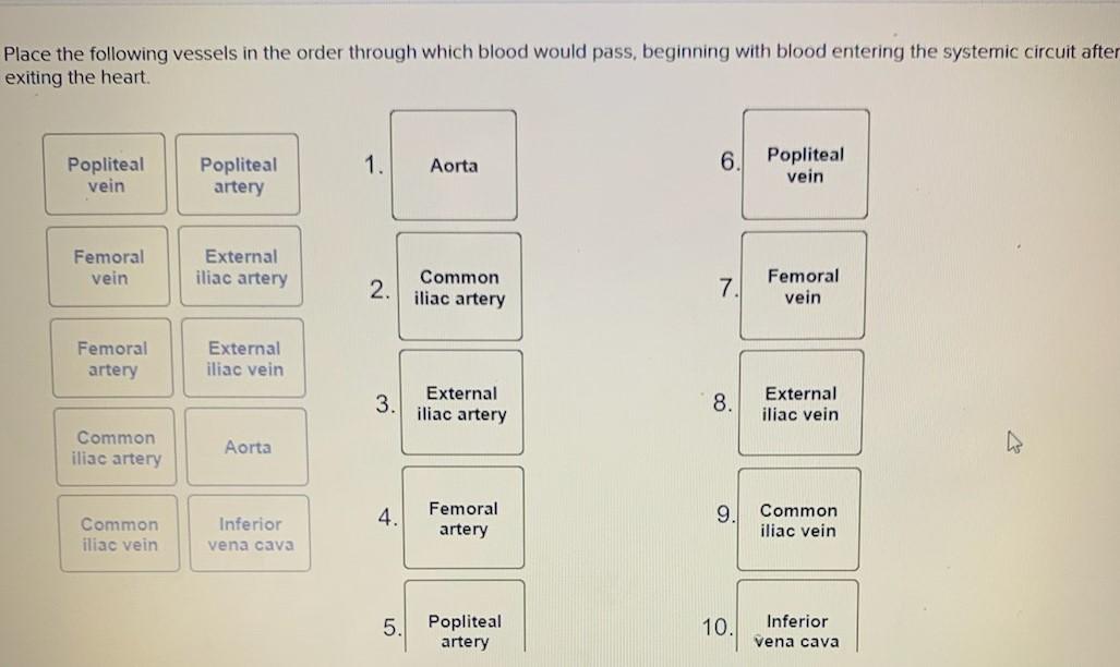 Solved Place the following vessels in the order through