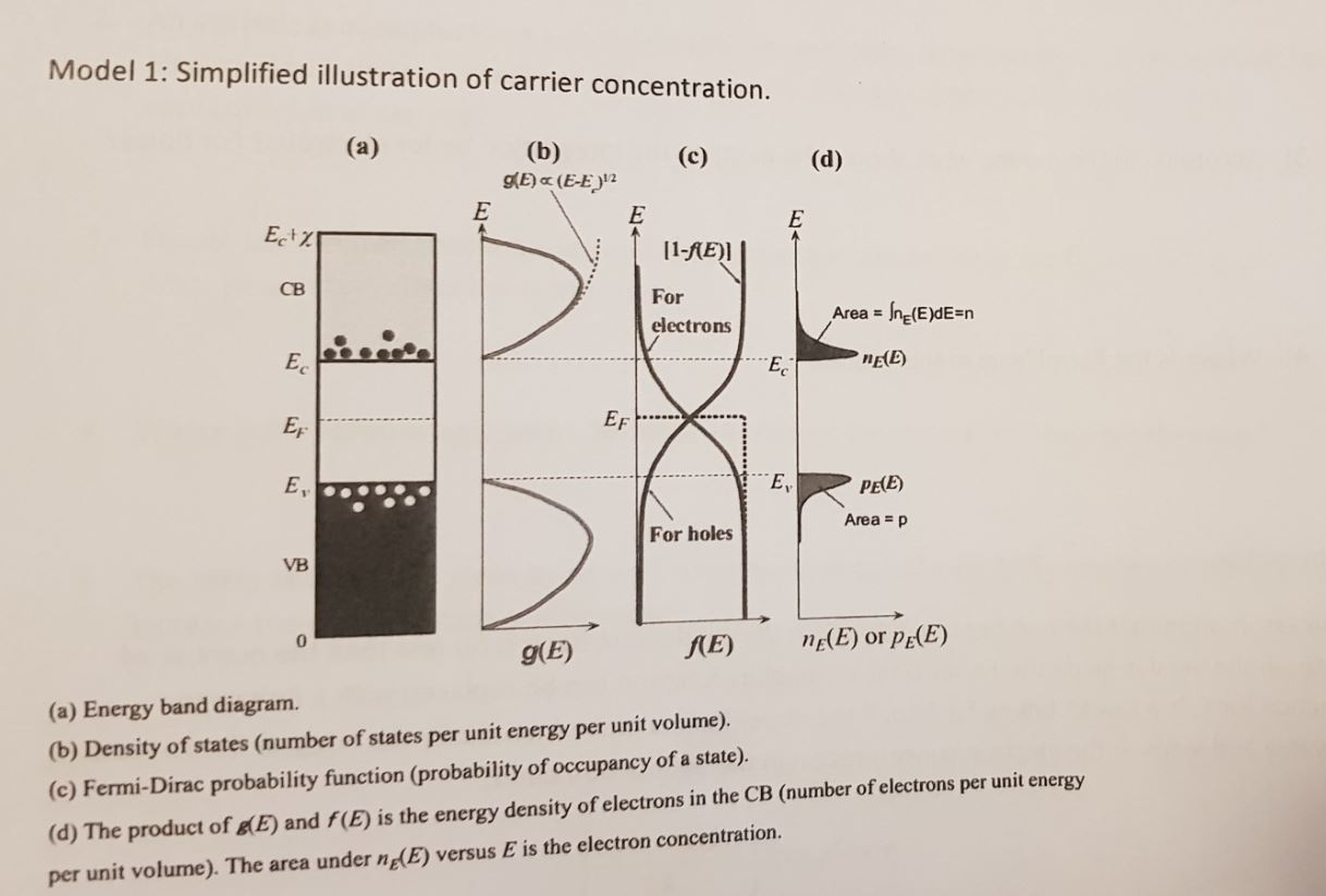 Model 1 Simplified Illustration Of Carrier Concen Chegg Com