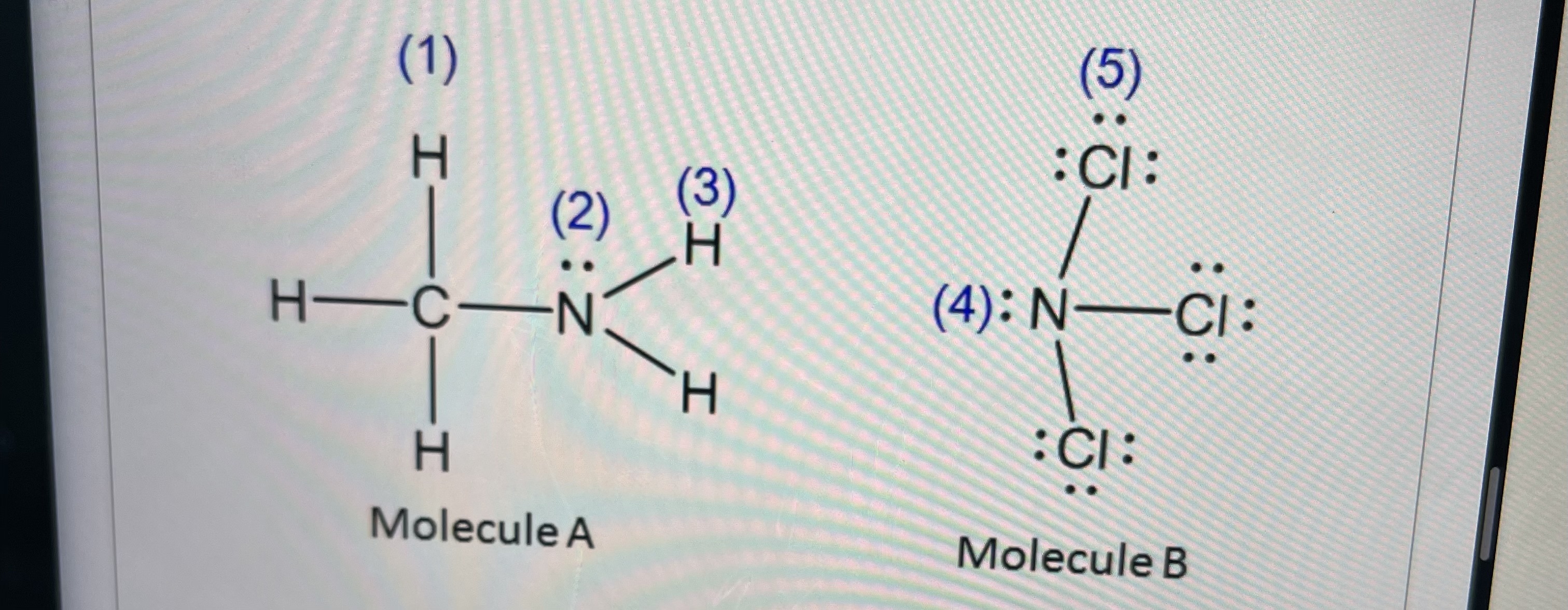 Solved Hydrogen bonding exits between Molecule A and | Chegg.com