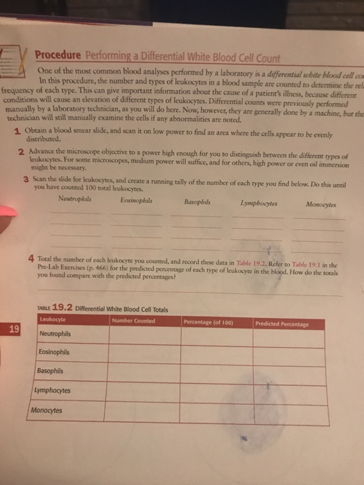 procedure-performing-a-differential-white-blood-cell-chegg