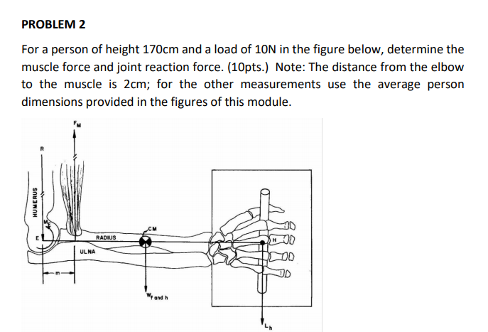 Solved PROBLEM 2 For a person of height 170cm and a load of | Chegg.com