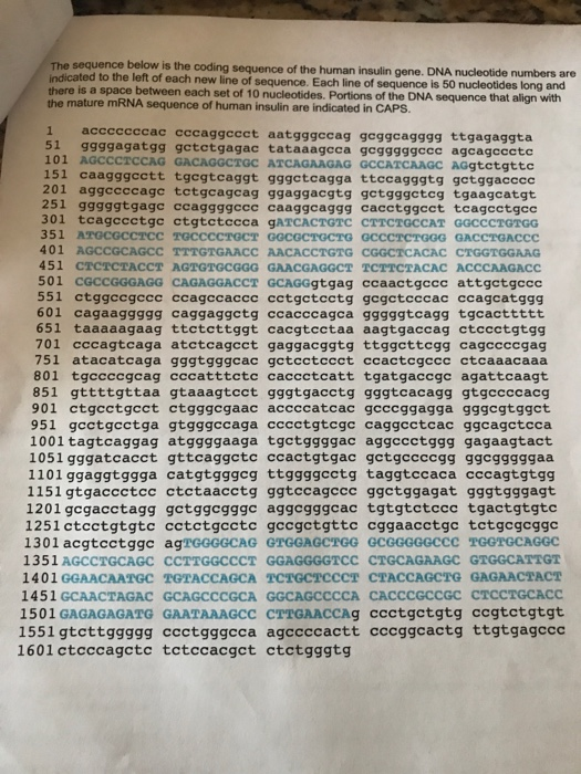 Solved The sequence below is the coding sequence of the | Chegg.com