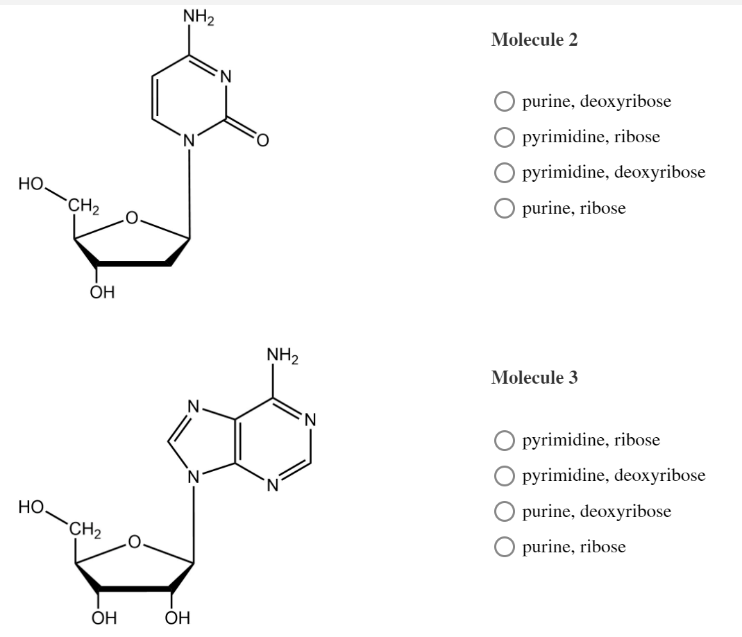 Solved Identify the type of base and sugar group present in