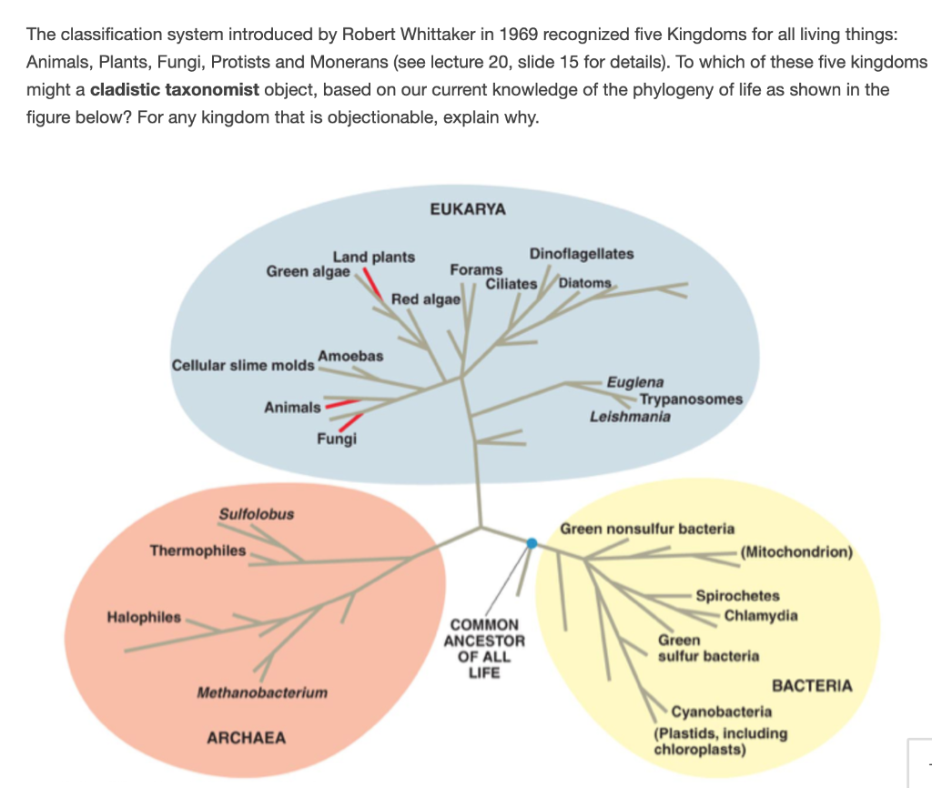 Solved The classification system introduced by Robert | Chegg.com
