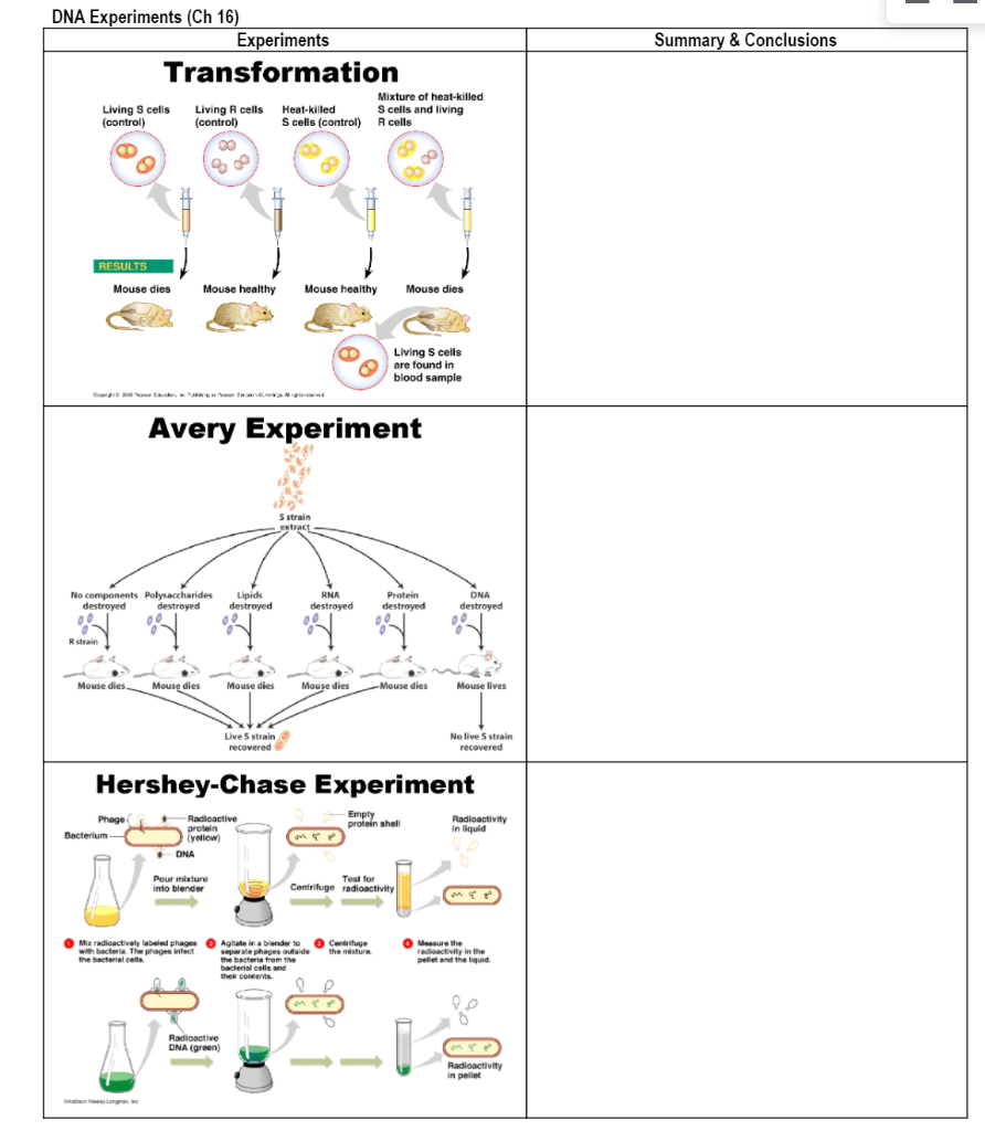 avery's experiments demonstrated that dna is the