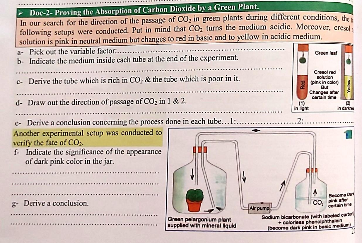 Solved Doc-2- Proving the Absorption of Carbon Dioxide by a | Chegg.com