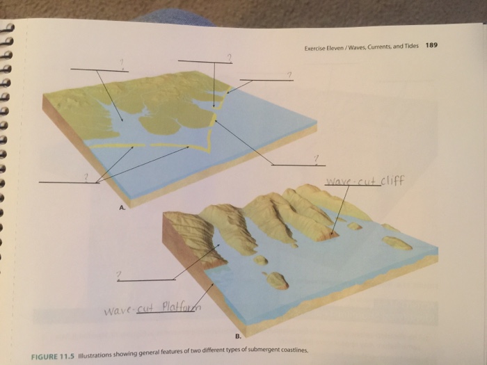 Solved Exercise Eleven/Waves, Currents, and Tides 189 t | Chegg.com