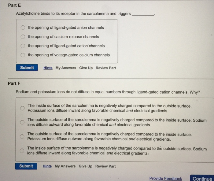 Solved Acetylcholine binds to its receptor in the sarcolemma | Chegg.com