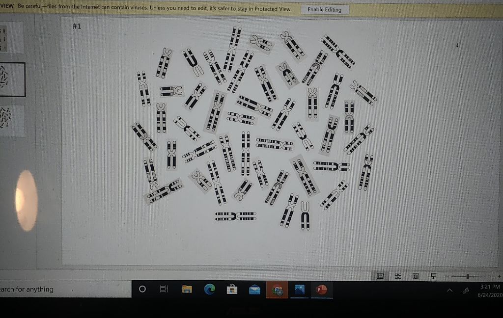 Solved Design Transitions Animations Slide Show Review View | Chegg.com