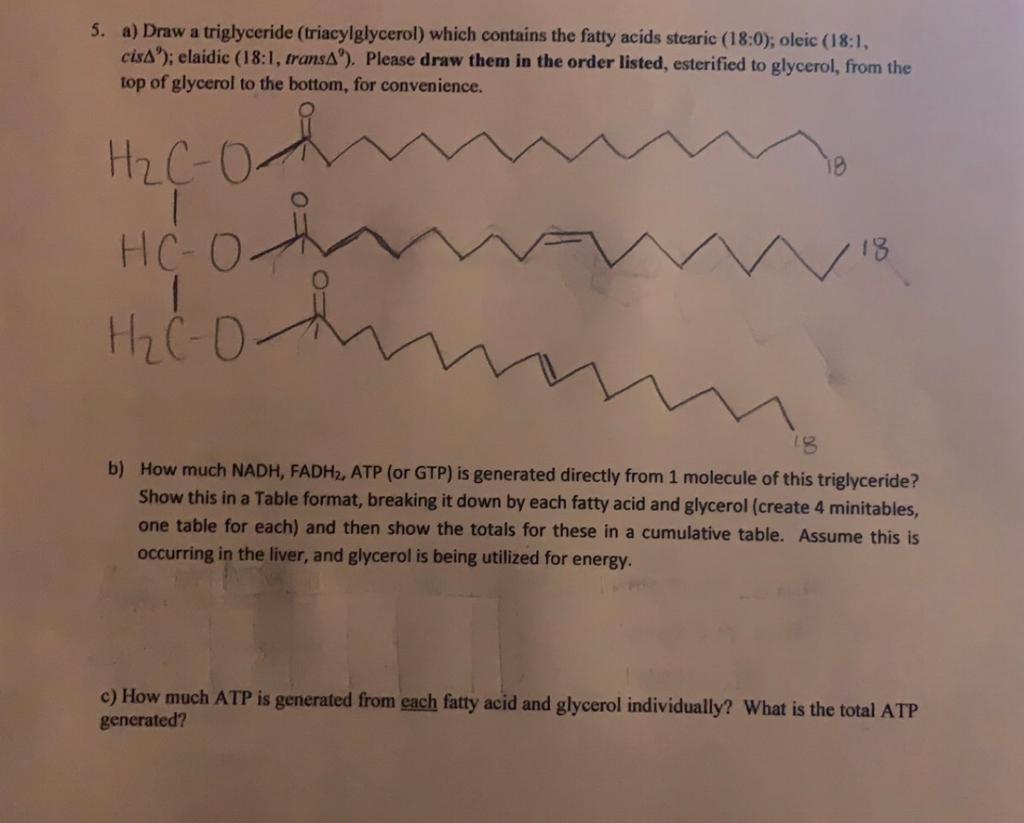 5. a) Draw a triglyceride (triacylglycerol) which | Chegg.com