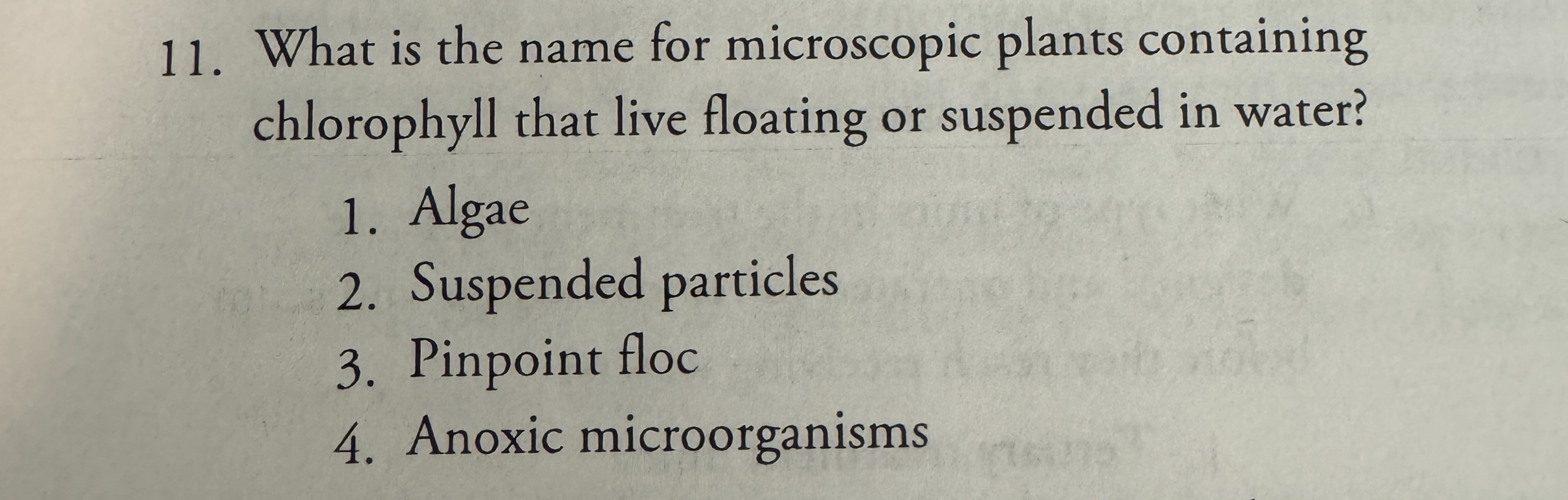 Solved What is the name for microscopic plants