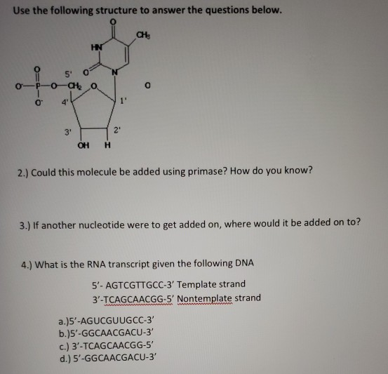 Solved Use the following structure to answer the questions | Chegg.com