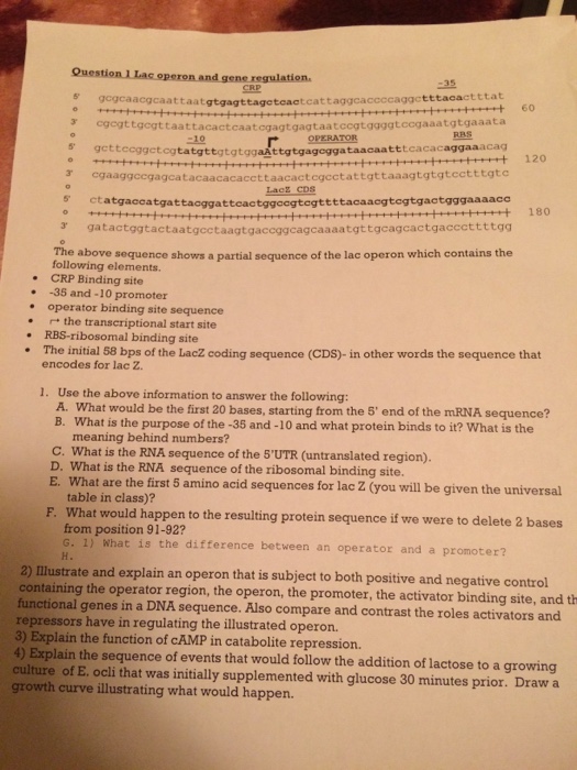 solved-the-above-sequence-shows-a-partial-sequence-of-the-chegg