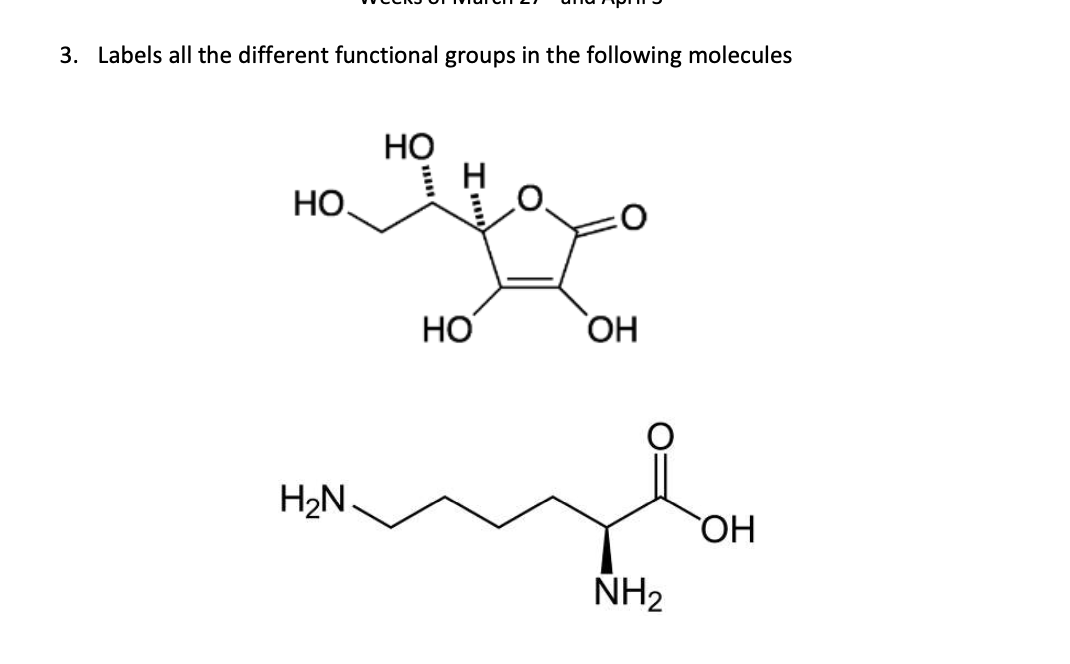 Solved 3. Labels all the different functional groups in the | Chegg.com