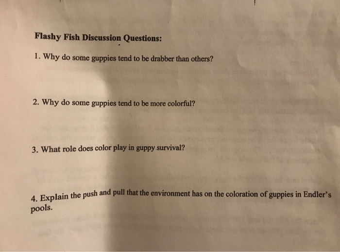 Solved Flashy Fish Discussion Questions: 1. Why do some | Chegg.com