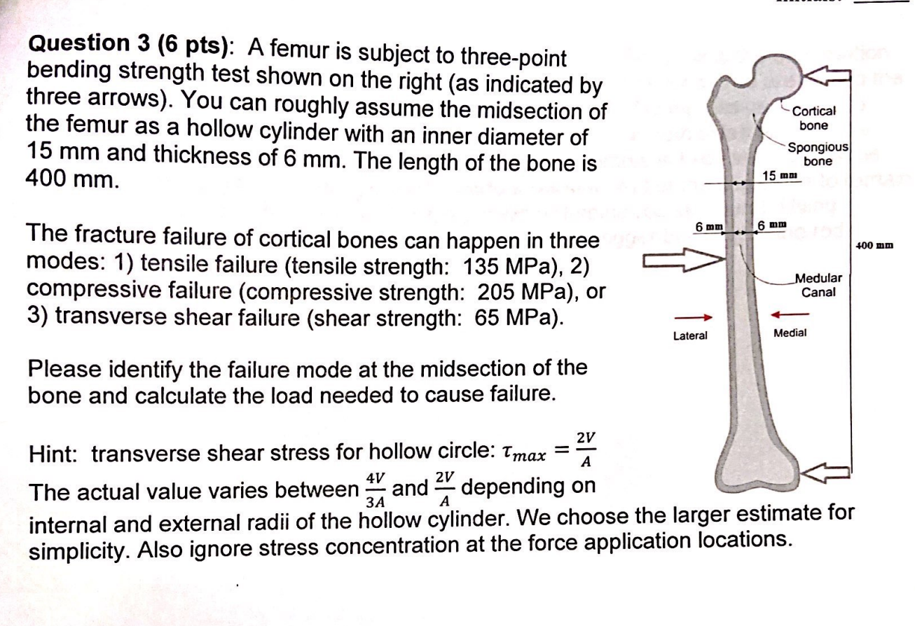 Which Part of the Bone is a Hollow Cylinder That Makes the Bone Strong  