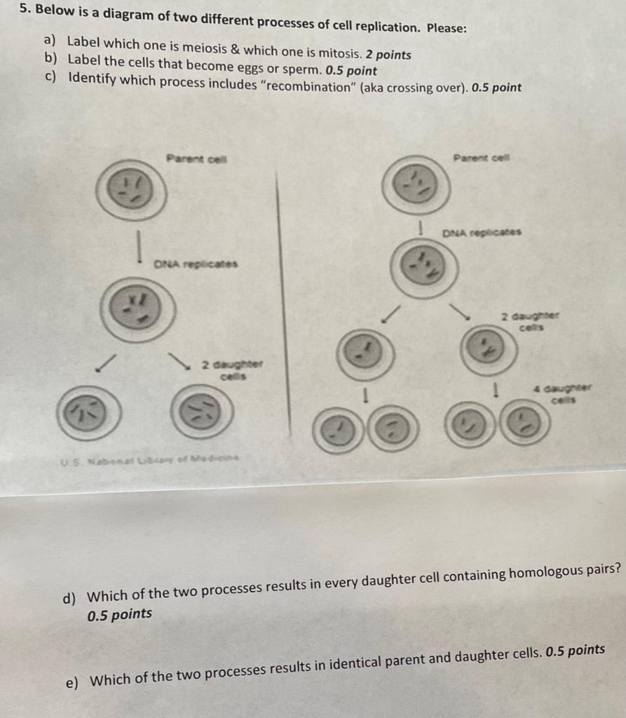 Solved 5. Below is a diagram of two different processes of | Chegg.com