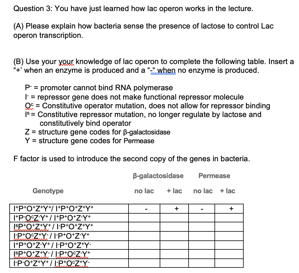 Solved Question 3 You Have Just Learned How Lac Operon W Chegg Com