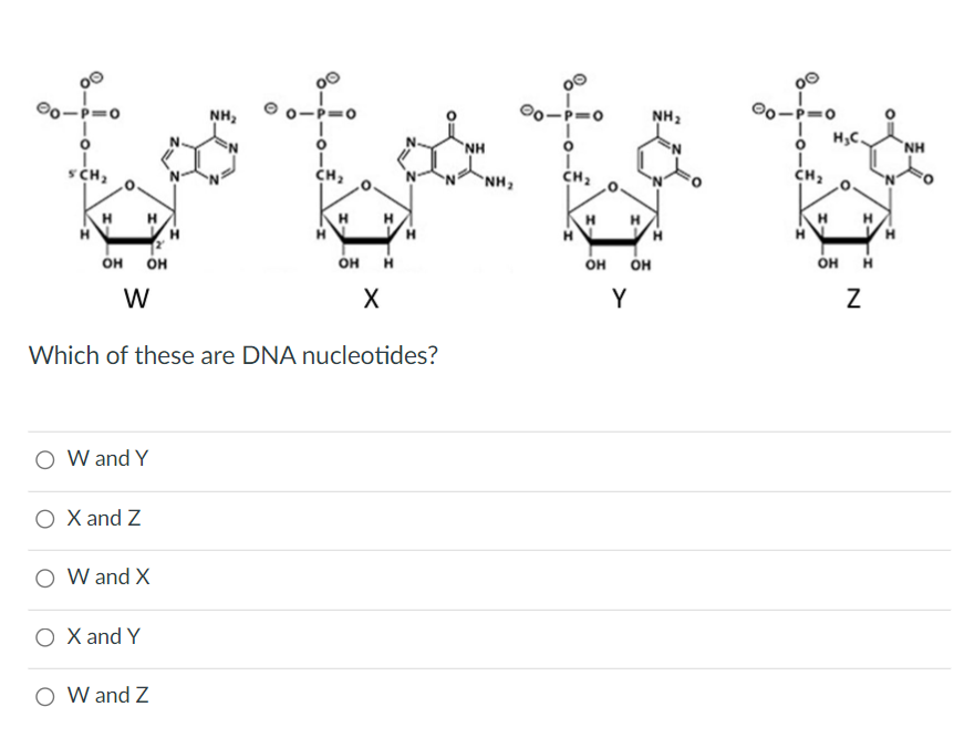 solved-match-the-descriptions-with-the-correct-level-of-chegg