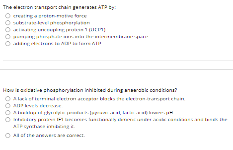Solved The electron transport chain generates ATP by: | Chegg.com
