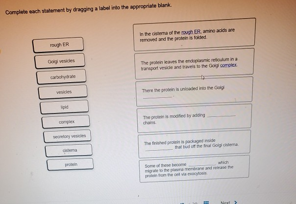 Solved Complete Each Statement By Dragging A Label Into The Chegg