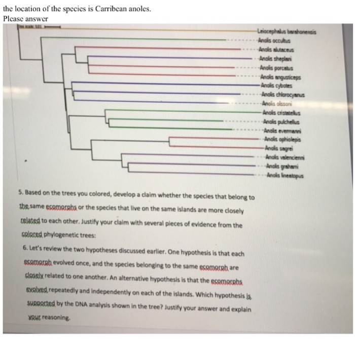 Solved Based on the trees you colored, develop a claim