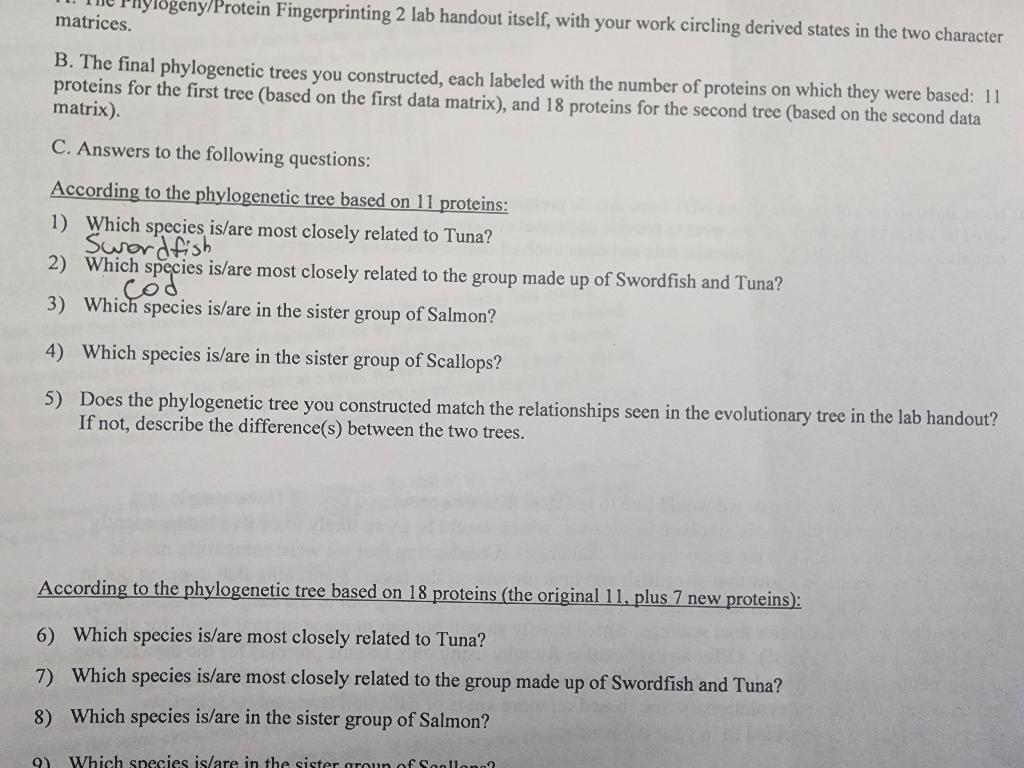 Construct a phylogenetic tree using the table below. | Chegg.com