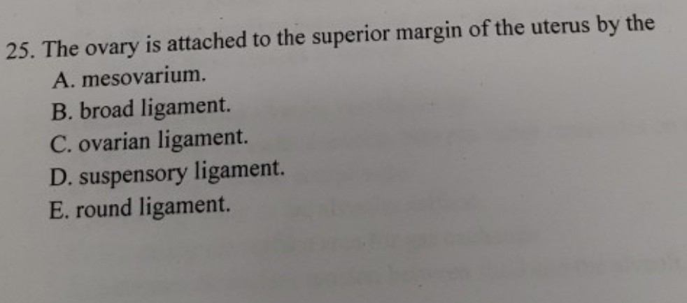 Uterus homework 08 image