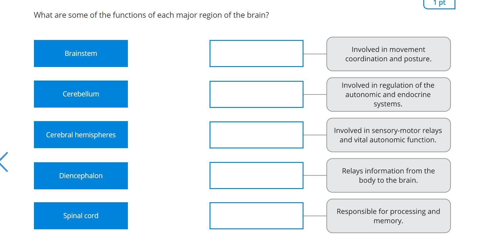 Solved pt What are some of the functions of each major | Chegg.com