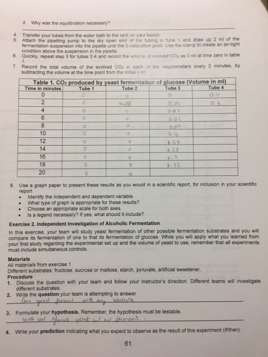 Solved Fermentation Scientific Report Alcoholic fermentation