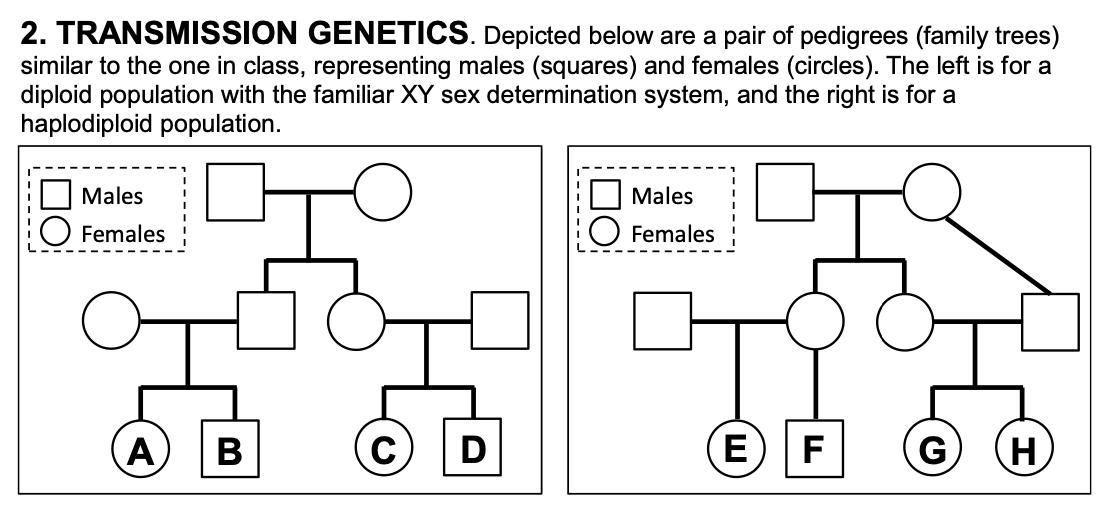 Solved 2. TRANSMISSION Depicted below are a pair