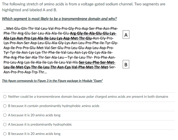 Solved The following stretch of amino acids is from a | Chegg.com