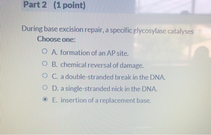 Solved Part 2 (1 point) During base excision repair, a | Chegg.com