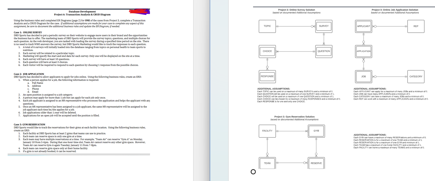 Job Application Survey Template for Online Applications