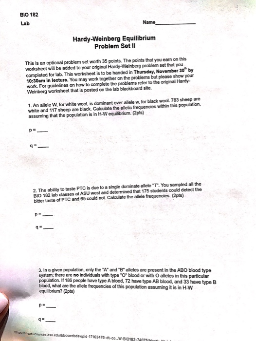 Solved BIO 182 Lab Name Hardy Weinberg Equilibrium Problem Chegg com