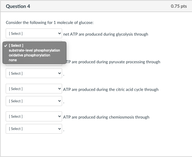 Solved Question 4 0.75 pts Consider the following for 1 | Chegg.com