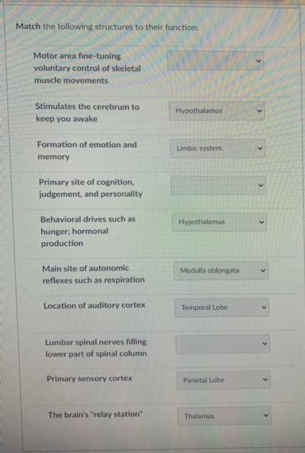 Solved Match The Following Structures To | Chegg.com