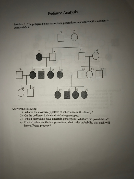 Solved Pedigree Analysis Problem D: The pedigree below shows | Chegg.com
