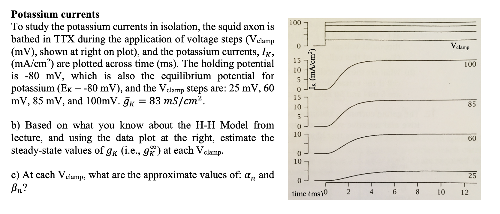 100 a Vclamp Potassium currents To study the | Chegg.com