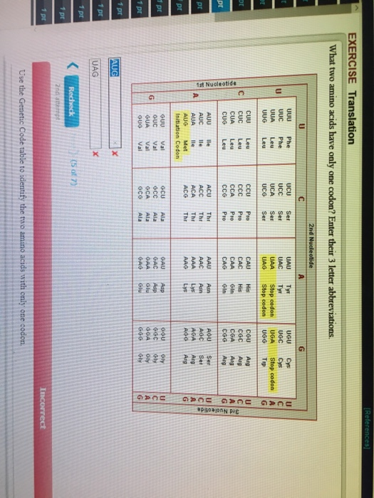Solved EXERCISE Translation What two amino acids have only