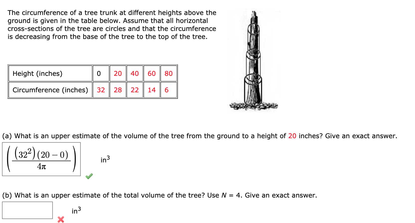 Vertical Trunk (USA) Circumference measurement