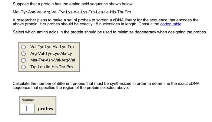 Solved Suppose that a protein has the amino acid sequence | Chegg.com