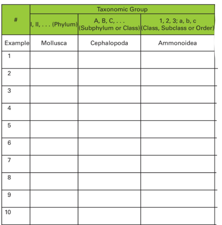 Solved 1. Identify all fossil specimens provided by your