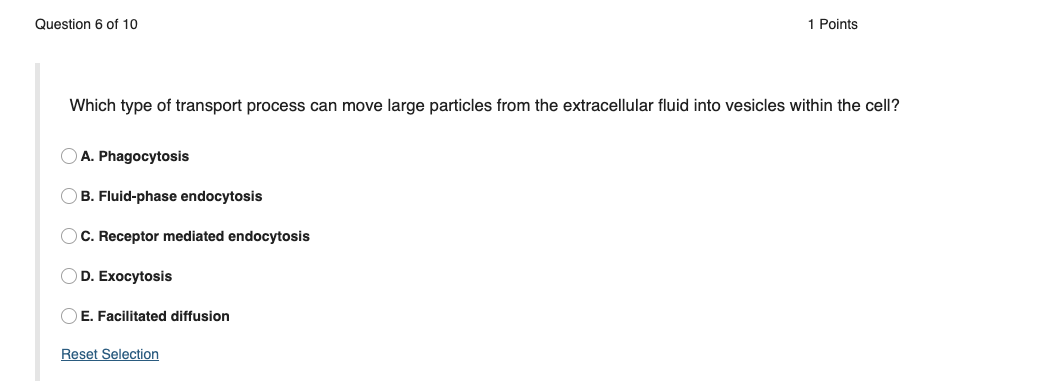 Solved Question 6 Of 10 1 Points Which Type Of Transport Chegg Com