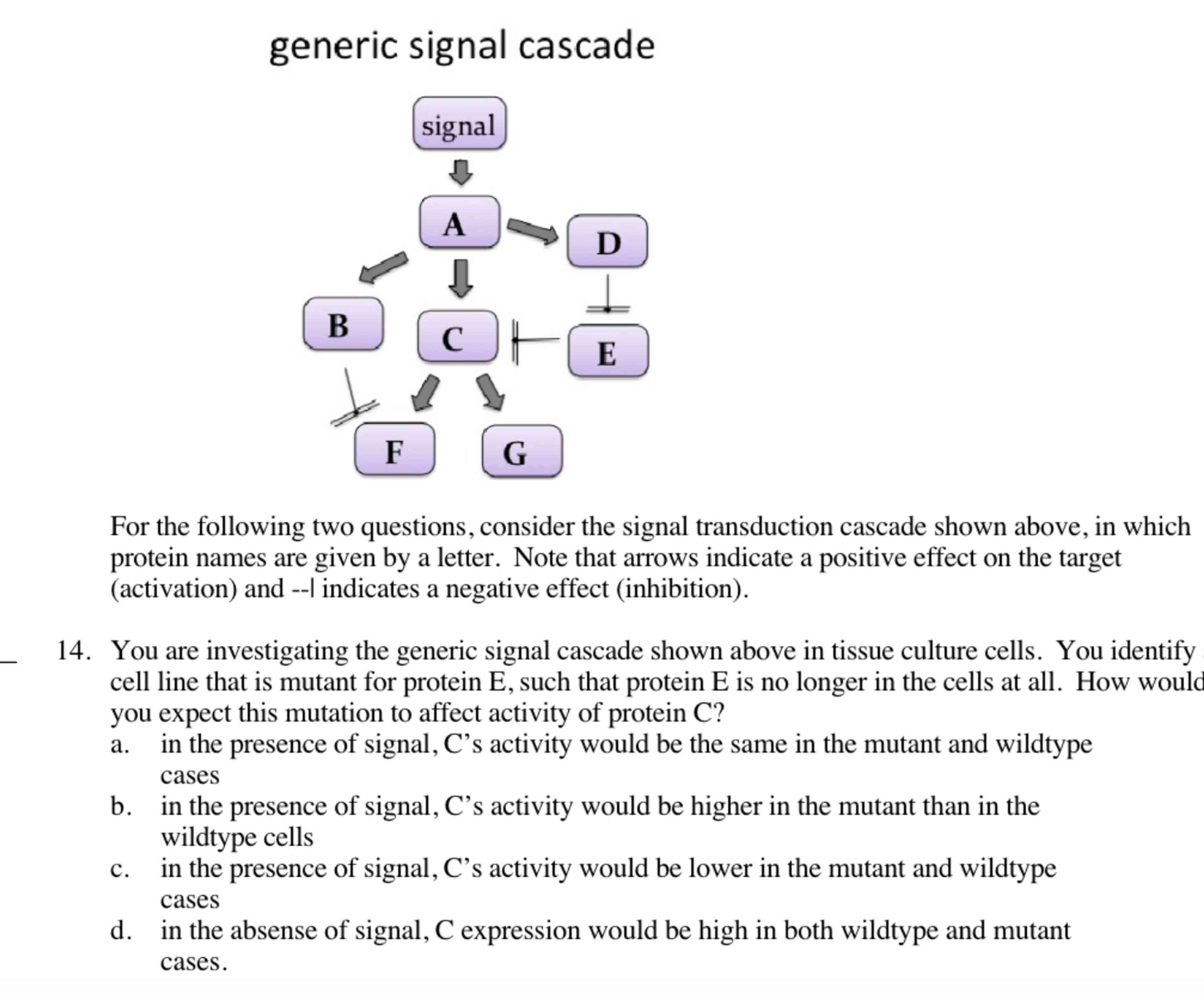 Solved For the following two questions, consider the signal | Chegg.com
