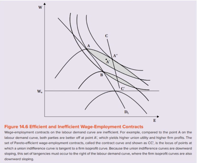 Solved W A B 'A' A" C' W₂ D₁ E Figure 14.6 Efficient and | Chegg.com